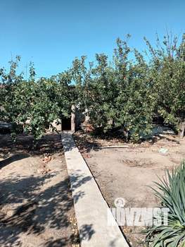 Дом 141м², 1-этажный, участок 8 сот.