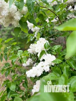 Дом 23м², 1-этажный, участок 5 сот.