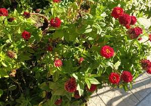 Дом 157м², 2-этажный, участок 4 сот.