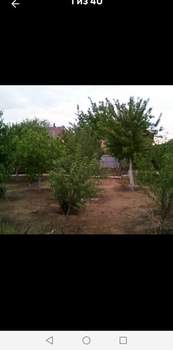 Дом 364м², 1-этажный, участок 12 сот.