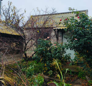 Дом 65м², 1-этажный, участок 8 сот.