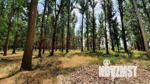 Дом 133м², 2-этажный, участок 7 сот.