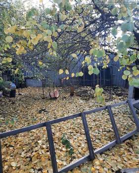 Дом 81м², 1-этажный, участок 4 сот.