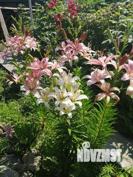 Дом 94м², 2-этажный, участок 6 сот.