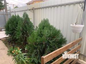 Дом 70м², 1-этажный, участок 2 сот.