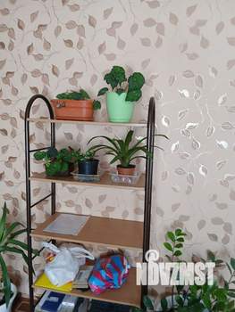 Дом 172м², 1-этажный, участок 4 сот.