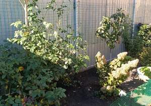 Дом 157м², 2-этажный, участок 4 сот.