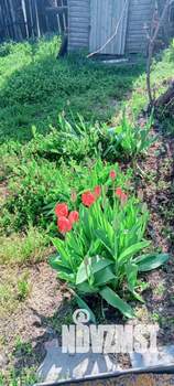 Дом 50м², 1-этажный, участок 7 сот.