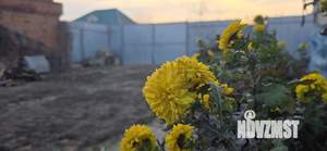 Дом 21м², 1-этажный, участок 10 сот.  