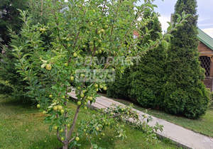 Дом 186м², 2-этажный, участок 11 сот.  