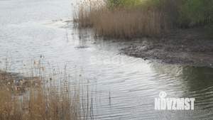 Дом 70м², 2-этажный, участок 3 сот.  