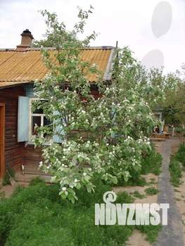 Дом 52м², 1-этажный, участок 10 сот.  