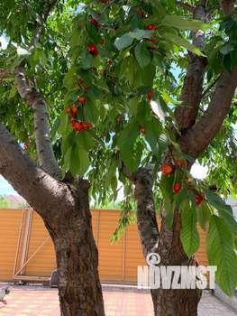 Дом 79м², 1-этажный, участок 3 сот.  