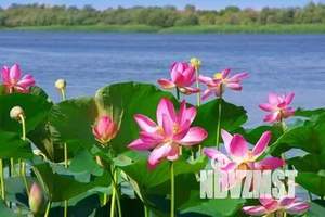 1-к квартира, посуточно, 35м2, 16/17 этаж