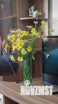 1-к квартира, посуточно, 44м2, 11/12 этаж