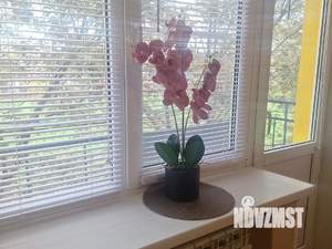 1-к квартира, на длительный срок, 19м2, 3/5 этаж