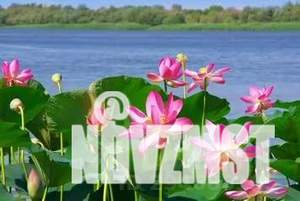 1-к квартира, посуточно, 35м2, 16/17 этаж