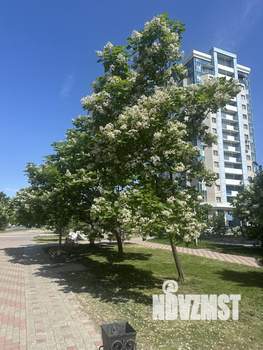 Студия квартира, вторичка, 83м2, 2/14 этаж