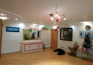 2-к квартира, вторичка, 99м2, 6/10 этаж